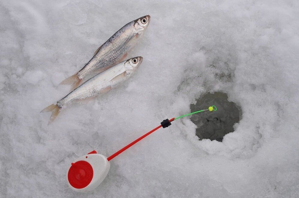 Оснастка для ловли уклейки зимой