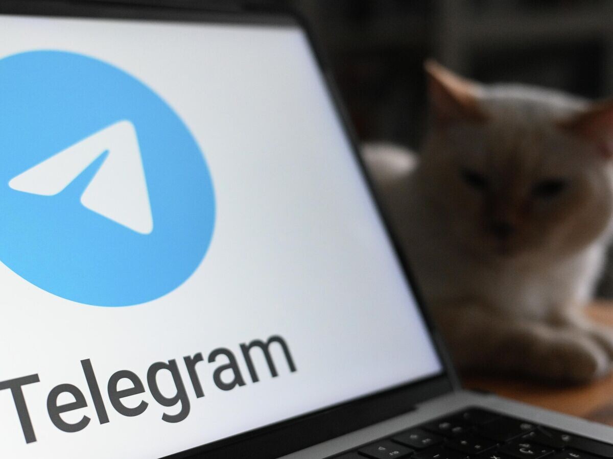    Логотип мессенджера Telegram на экране ноутбука | © РИА Новости / Александр Кряжев