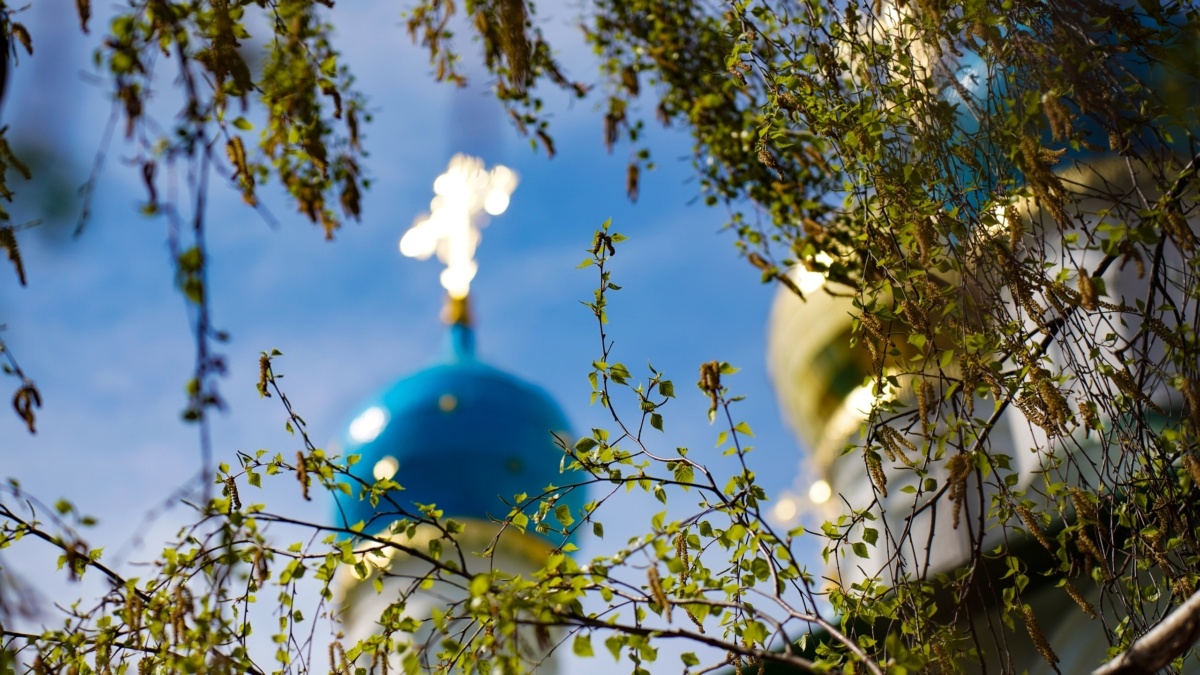 Светлана Мулыкина📷
