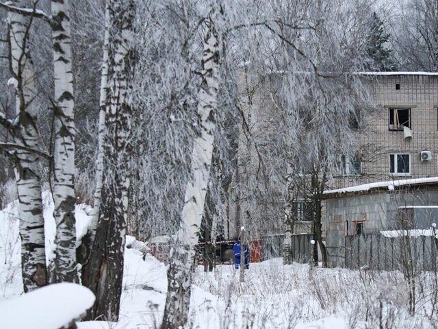    Фото: ТАСС/Валентин Егоршин