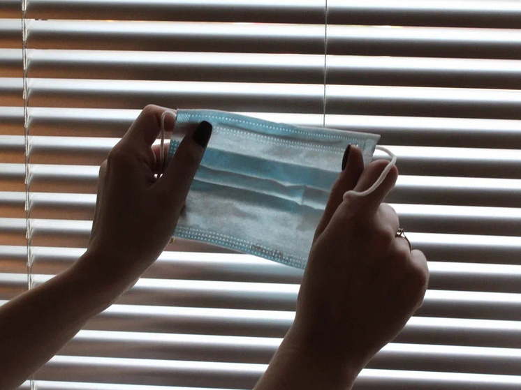     Фото: Василий Осипов / «МК в Чреноземье»