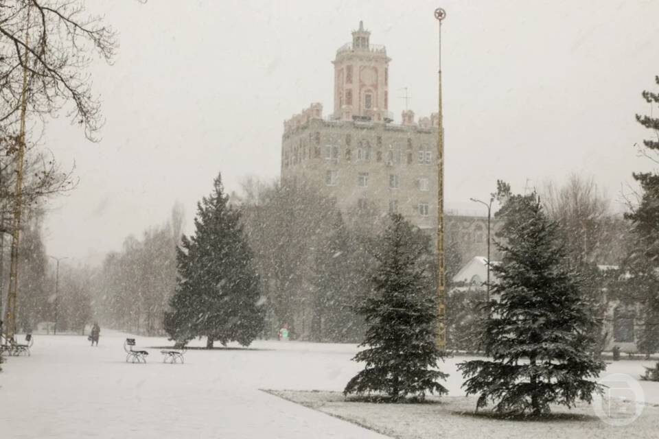    Фото: Дмитрий Рогулин / "Городские вести"