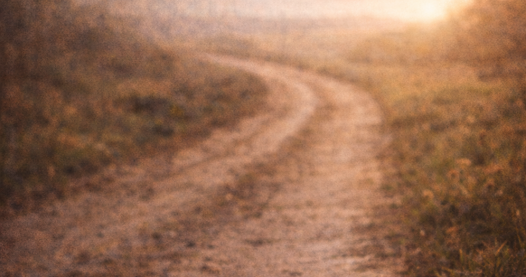 🌱 Что остаётся после этой дороги