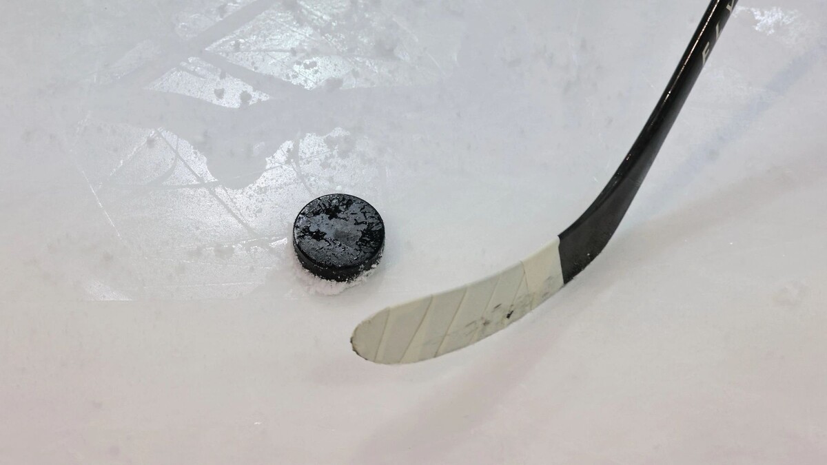    Фото: Андрей Ткачев / «Ямал-Медиа»