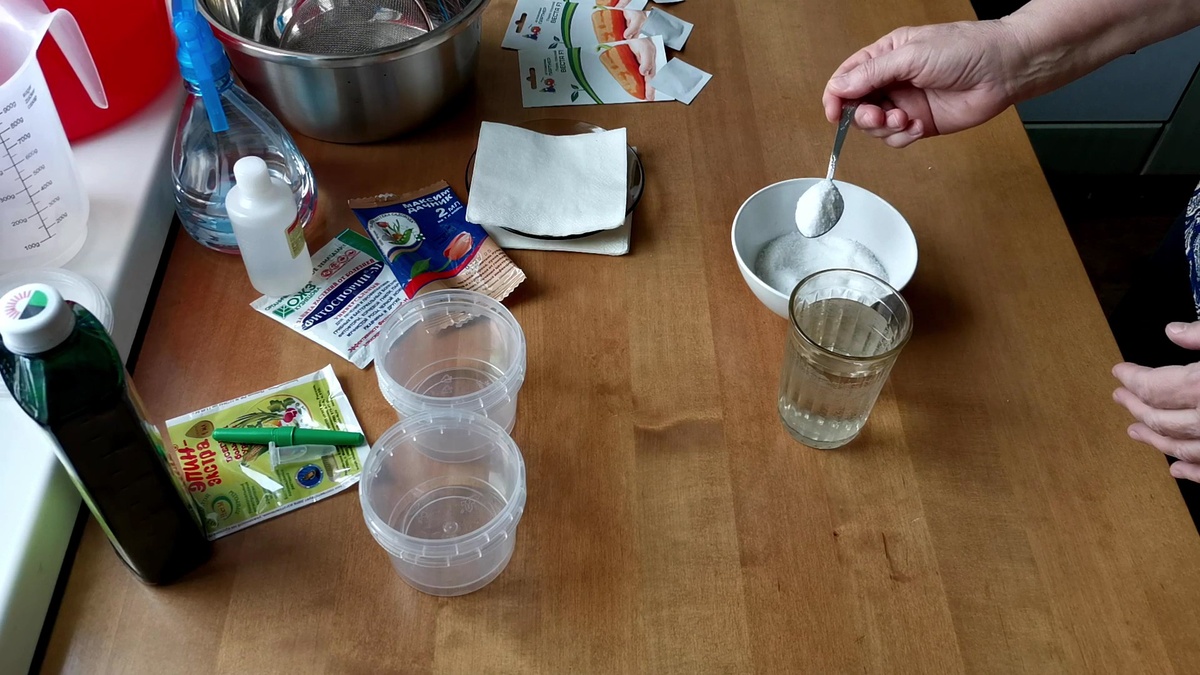 ПРОВЕРКА СЕМЯН НА ВСХОЖЕСТЬ. На стакан теплой воды добавляю 1 чайную ложку соли.