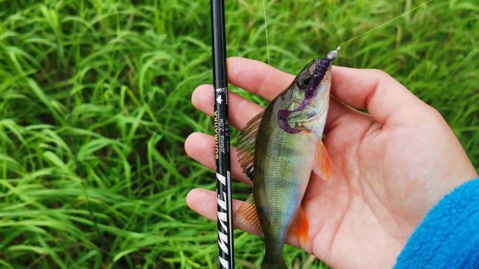 Провёл по ногтю и понял всё: простой способ проверки крючков, который использовали рыбаки СССР.