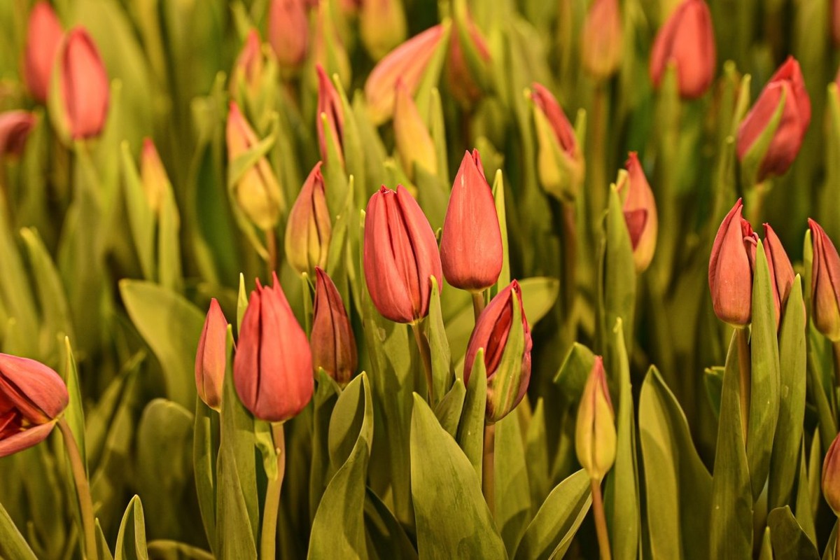    Фото: "Республика" / Сергей Юдин