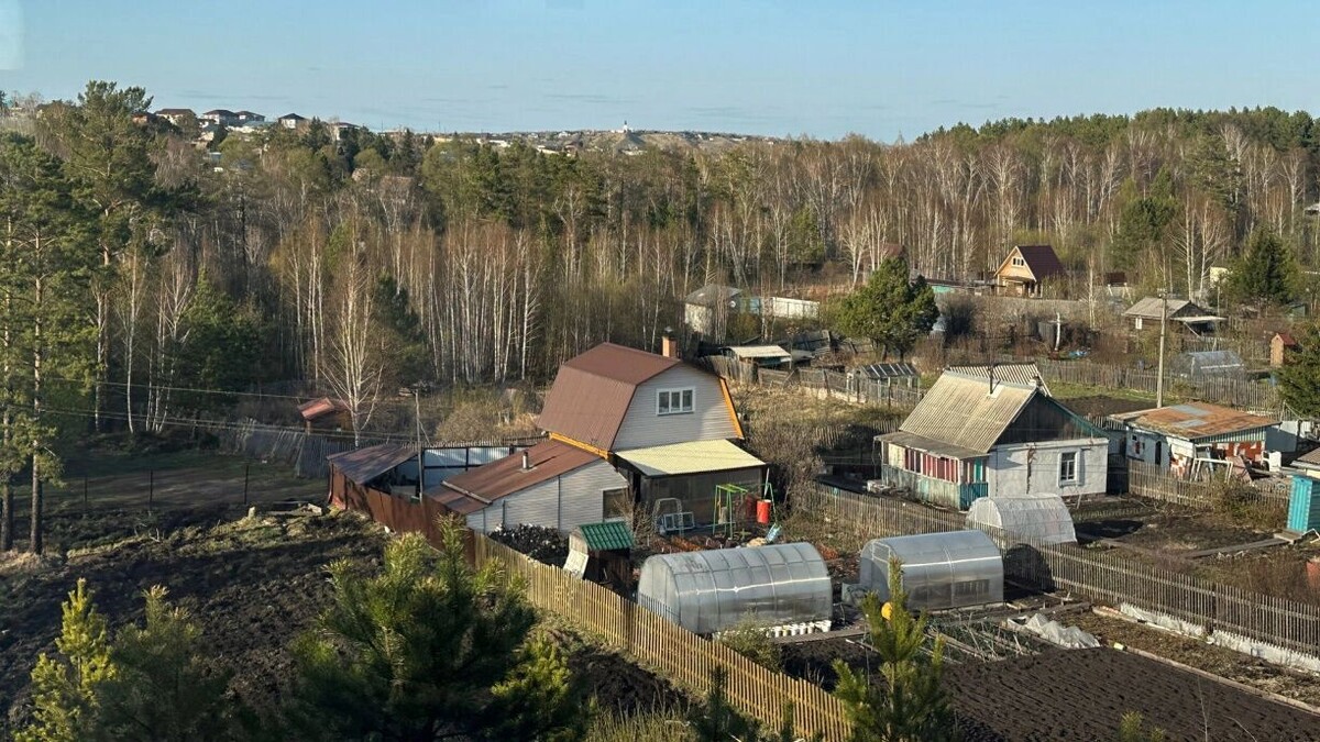    Если кружащий над домом дрон с функцией ИИ даст сигнал, что участок зарос сорняками и борщевиком, дачникам грозят крупные штрафы   1MI
