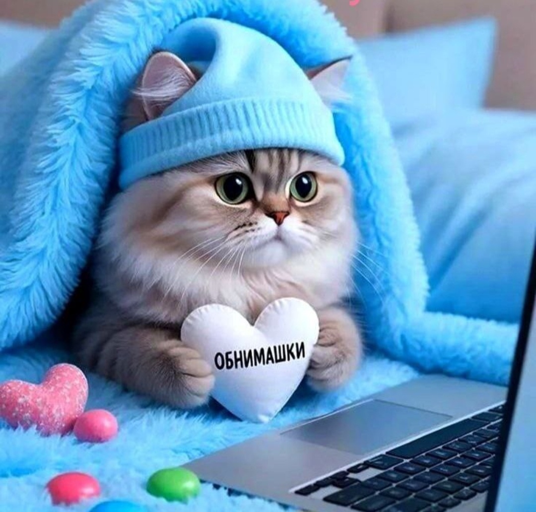 Фото из интернета