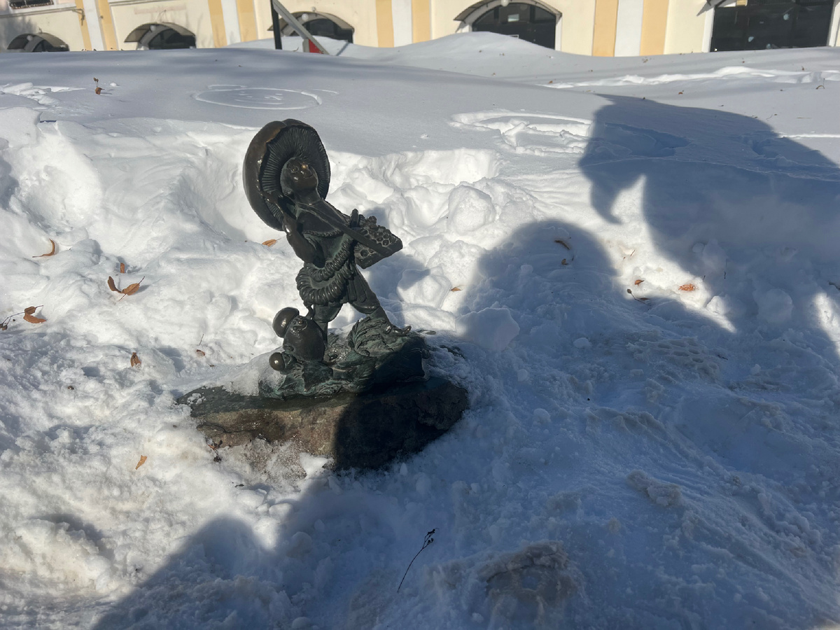 Гриб-коробейник