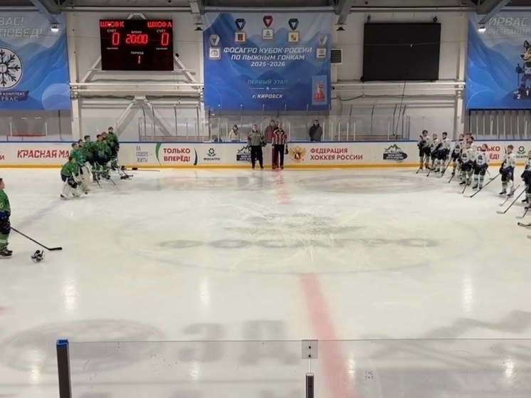     Фото: официальное сообщество "ВКонтакте" администрации города Апатиты