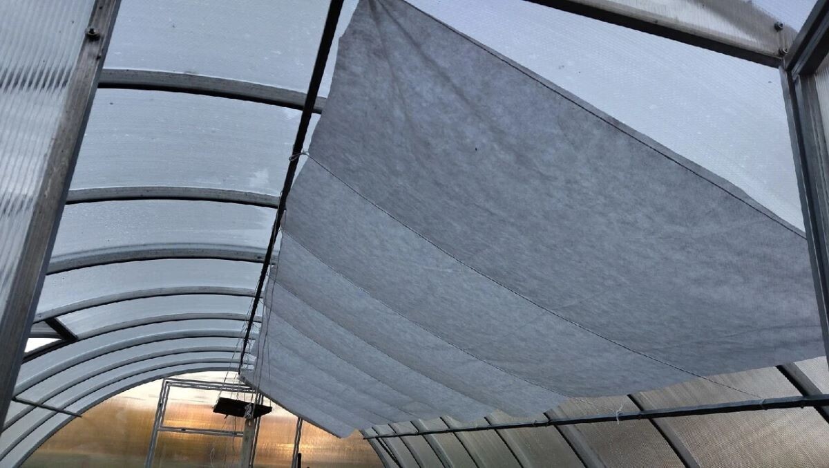 Спанбонд от солнца. Фото автора