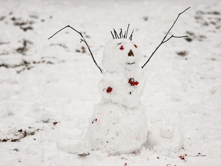     Andrey Titov / Business Online / Global Look Press