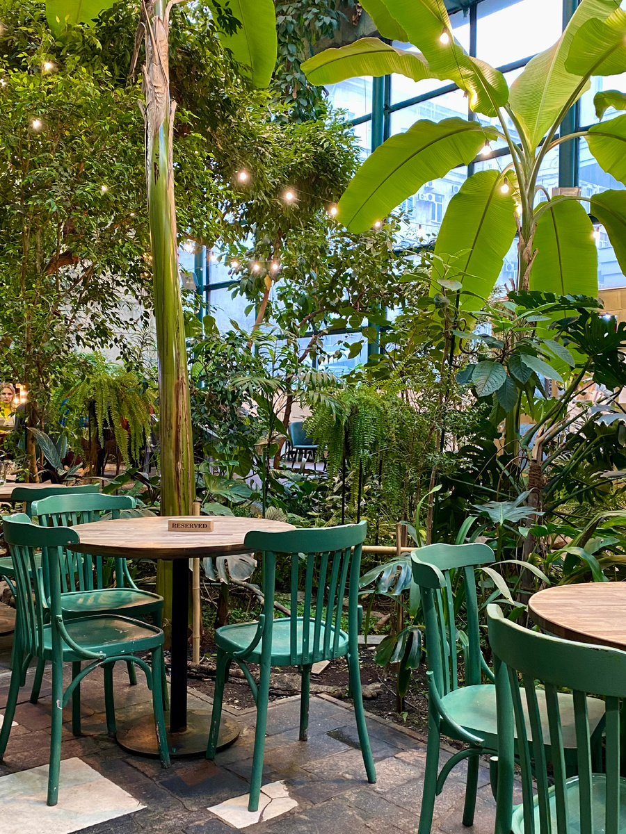 “Choco” Secret garden на Петроградке