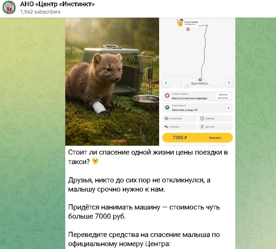    Пост с призывом о помощи. Фото: Центр охраны дикой природы "Инстинкт".