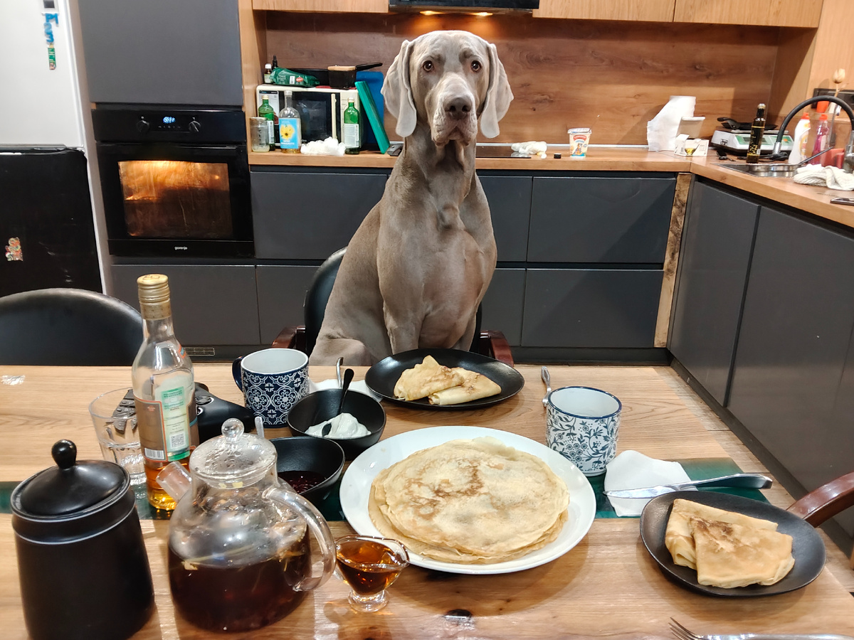 Не всё собаке Масленица, придёт и Великий пост. 