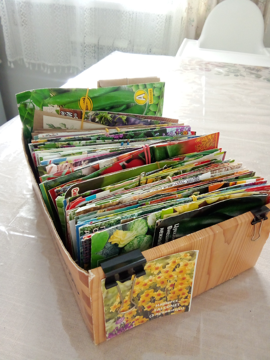 В статье все фото авторские. Сегодня морозно -20, дочек не повела... Пока они спали с утра - перебрала семена.