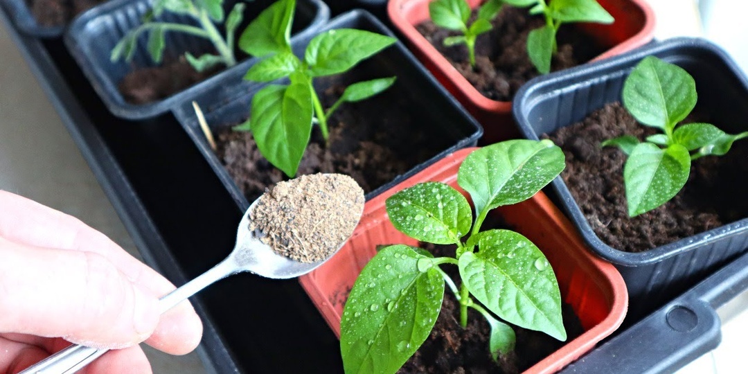 Говорю как опытный перцевод: эти ошибки повторяются из года в год у 80% новичков (и у половины со стажем тоже).