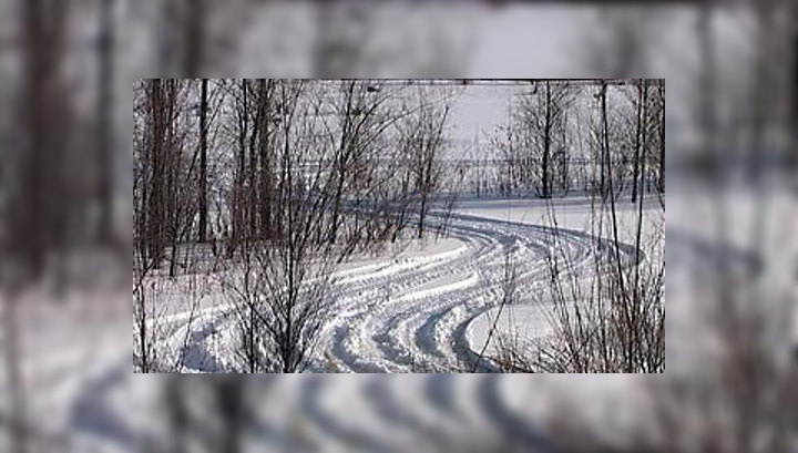    зима в лесу дорога