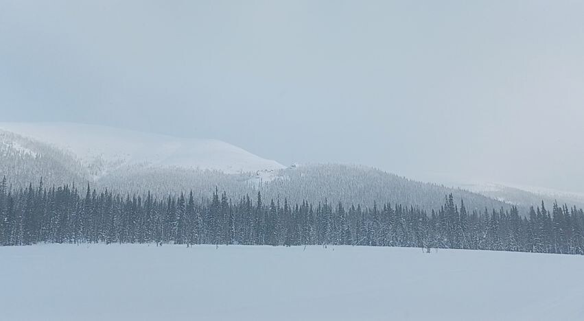 Северный Урал, окрестности горы Сабля. Тут часто встречаются небольшие маньпупунёрчики