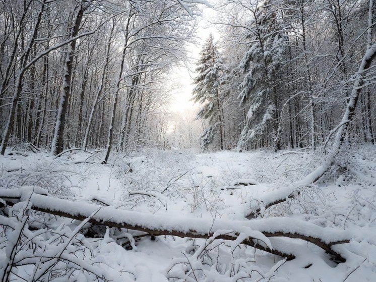     Фото: генерация Grok