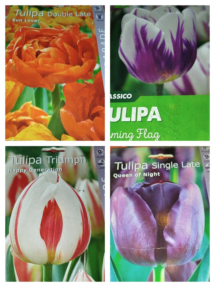 Коллаж автора. 