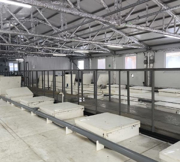 От стоков до чистой воды: этапы очистки хозяйственно-бытовых сточных вод