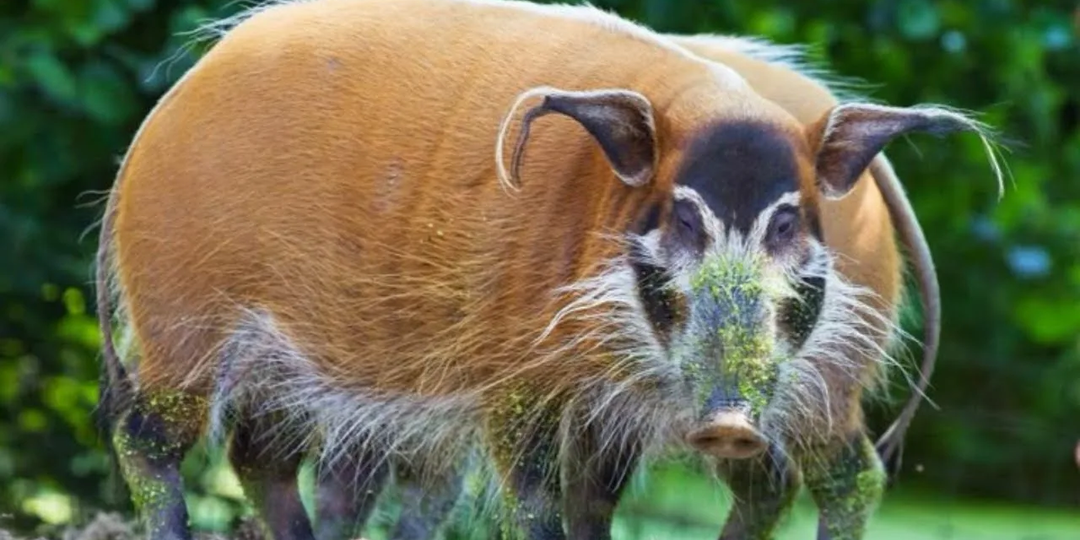 10 бесполезных фактов. 49 выпуск