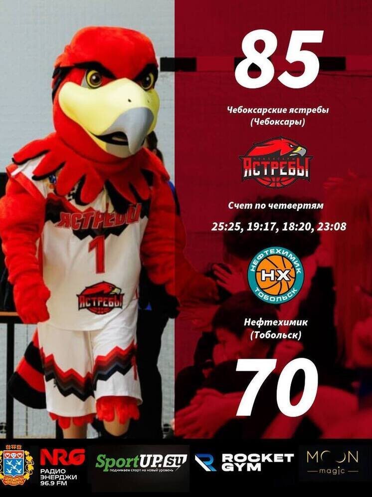     Иллюстрация: "Чебоксарские Ястребы"