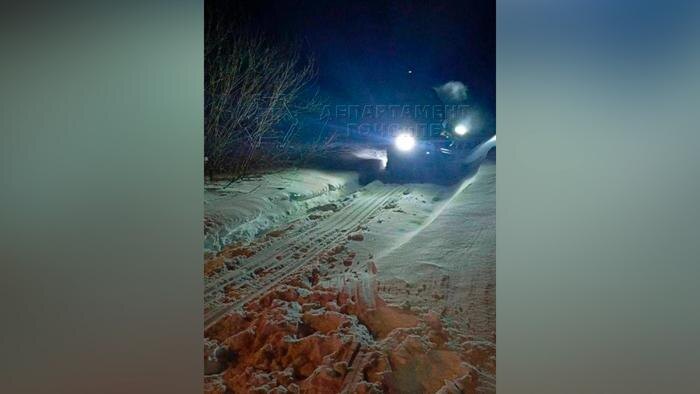 Спасатели вывели из московского леса девушку, которой стало плохо. Фото © Telegram / ЧСтные новости Москвы