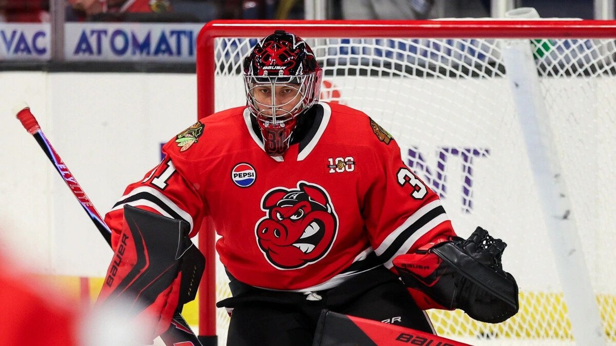    Фото: Rockford Icehogs/x.com