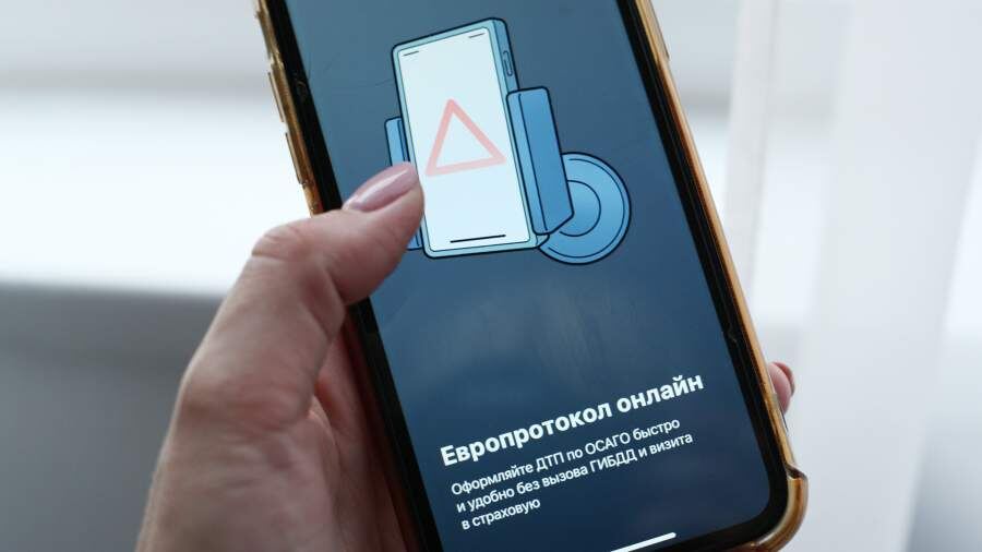    Фото: ИЗВЕСТИЯ/Юлия Майорова