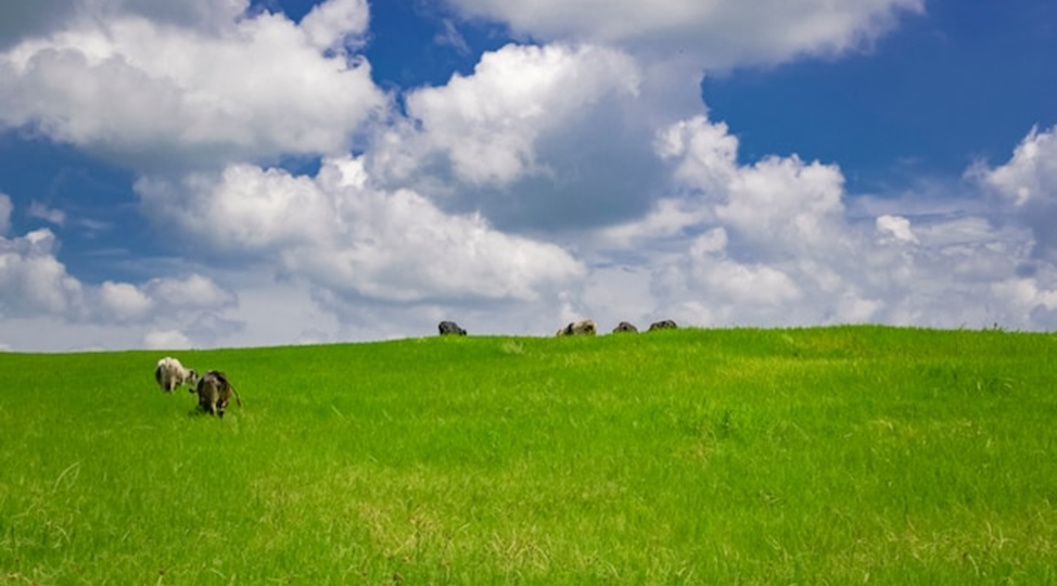 Злачное место