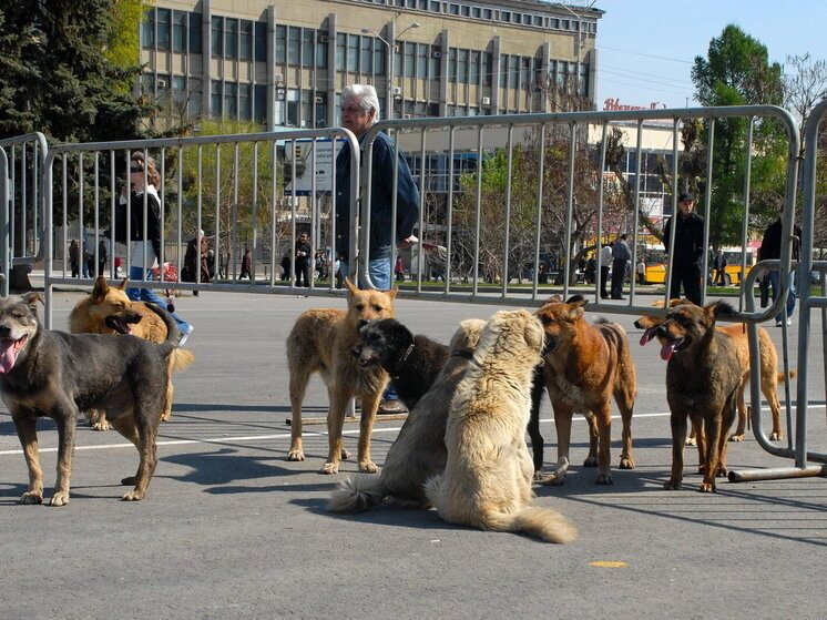     Фото: Игорь Чижов