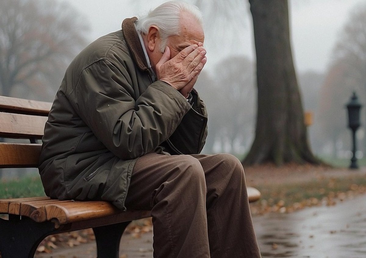 Яндекс Картинки