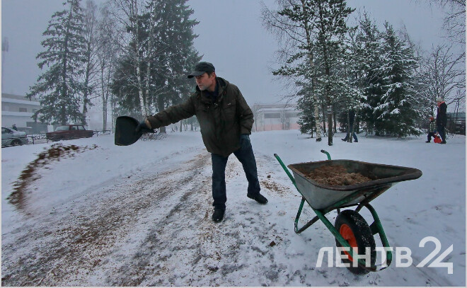    © Анастасия Илюшина / ЛенТВ24, архивное фото