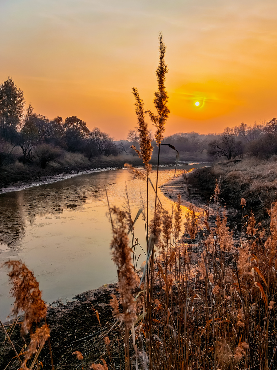 Один из заливов на левом берегу Амура