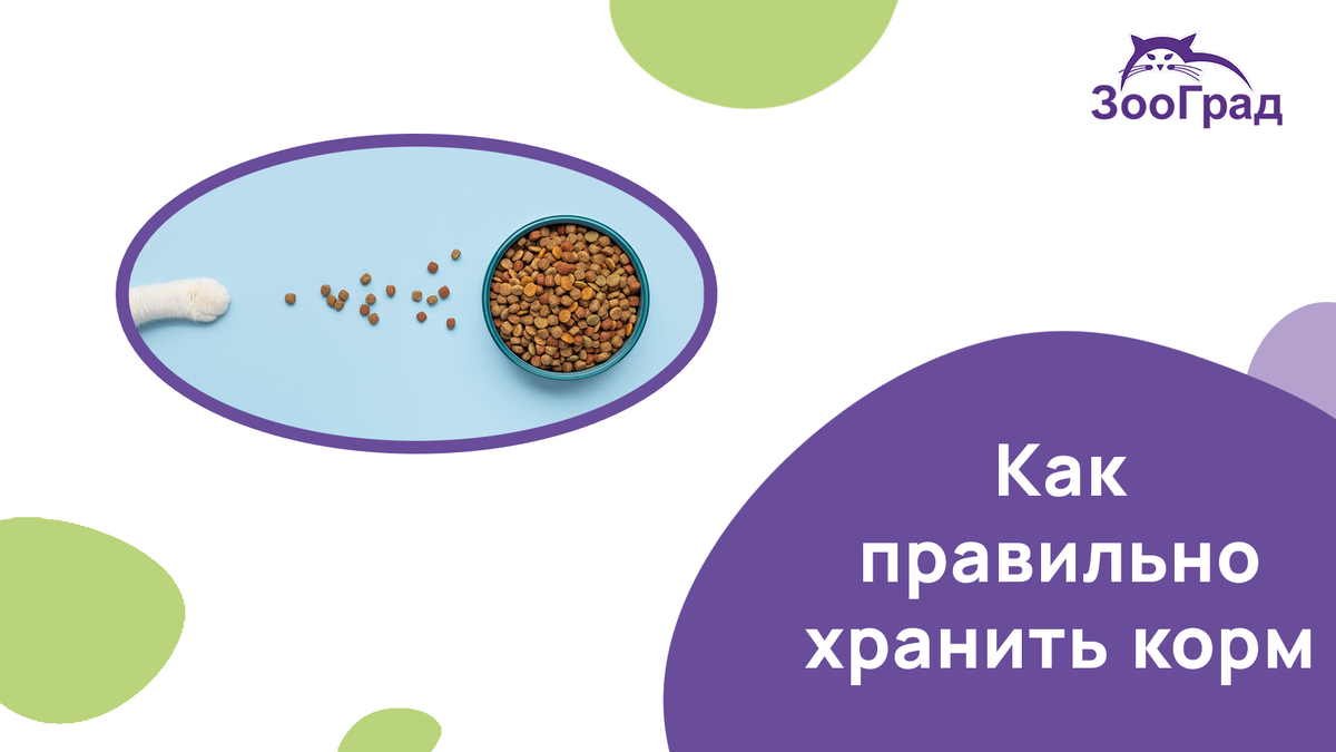 Мы не задумываемся что будет с едой наших любимцев, если не следить за ней