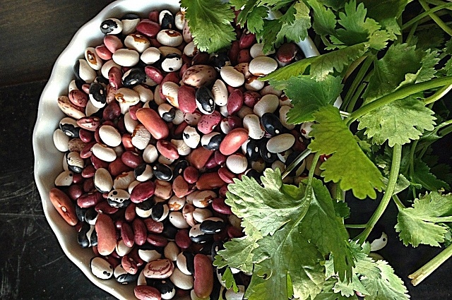    Фото: pixabay.com