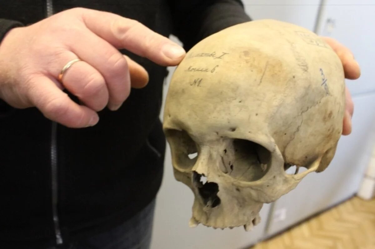    Портал в голове.