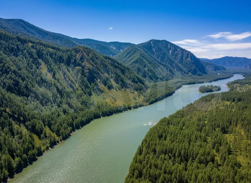    Участок находится в Чемальском районе. Источник: avito.ru