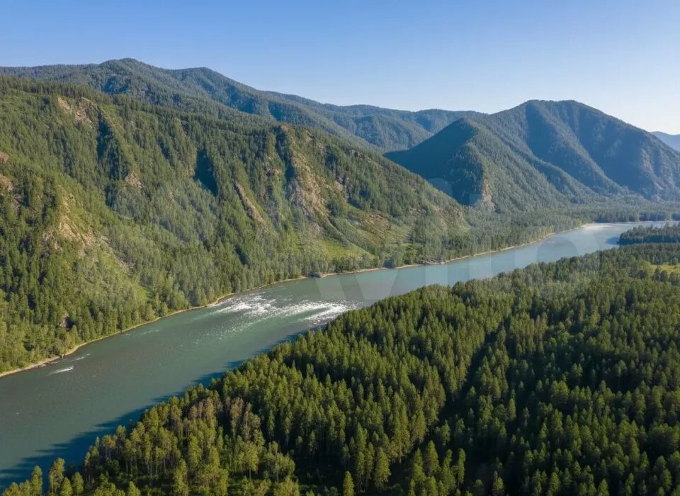    Участок находится в Чемальском районе. Источник: avito.ru