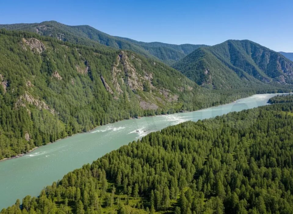    Участок находится в Чемальском районе. Источник: avito.ru