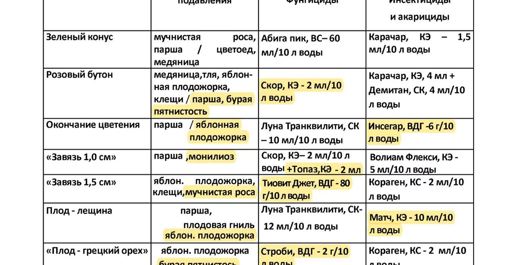 Защита сада по плану: составляем график обработок от болезней и вредителей на весь сезон