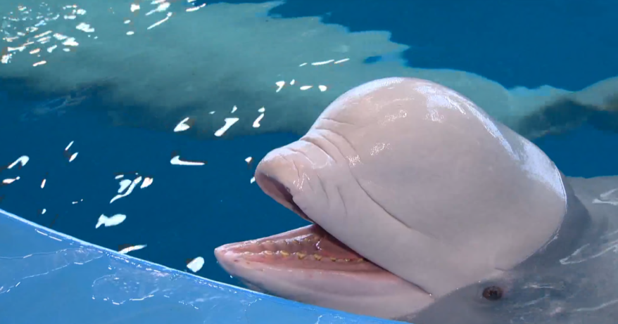    Источник фото: