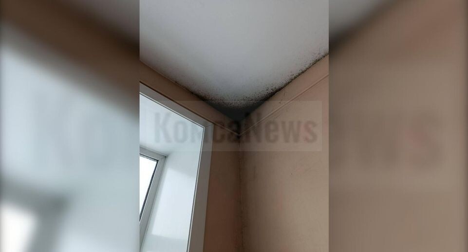    предоставлено собеседницей