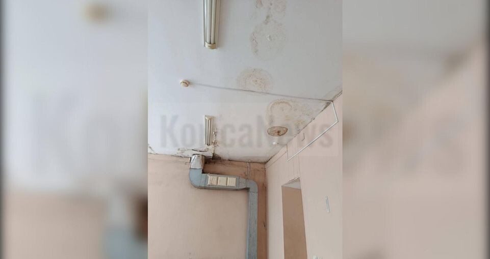     предоставлено собеседницей