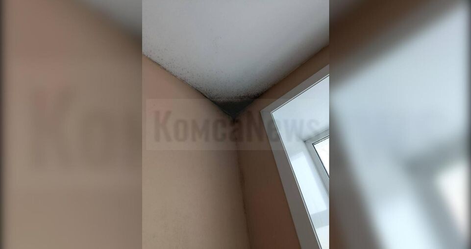     предоставлено собеседницей