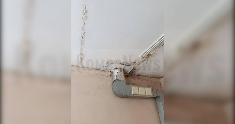     предоставлено собеседницей