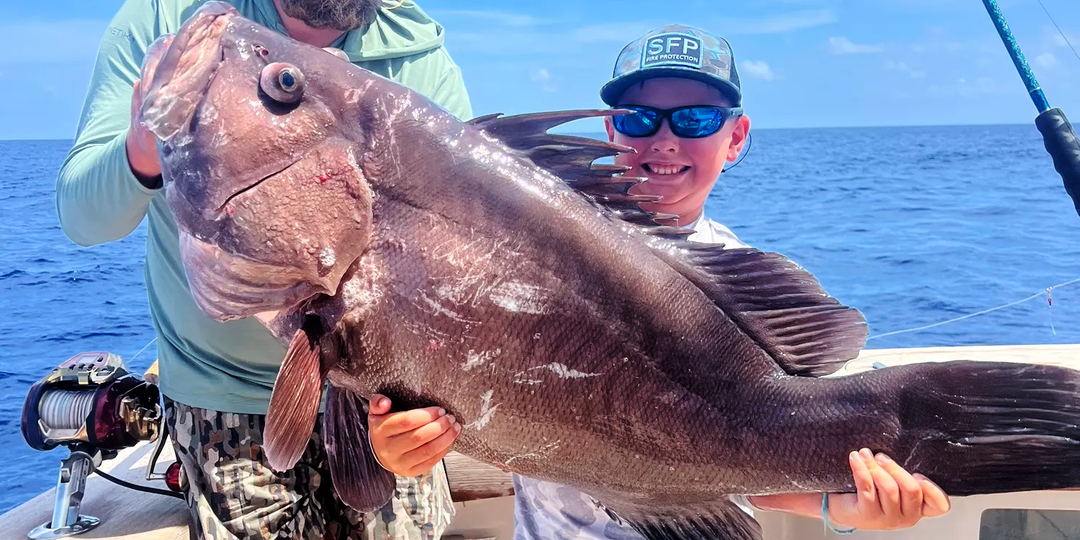 Варшавский групер (Hyporthodus nigritus) или Warsaw grouper